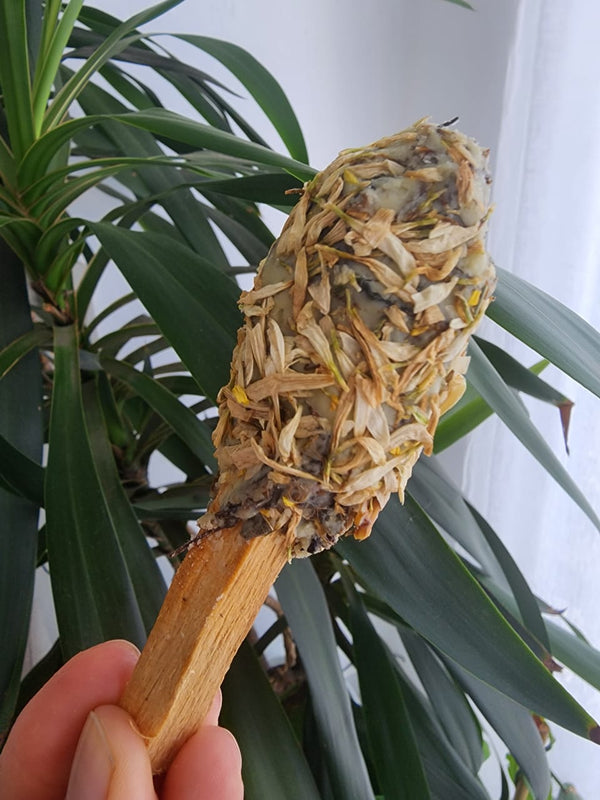 Pop Herbal (Sahumerio)
