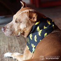 Bandana para Cachorro Modorro M "Banana dog"