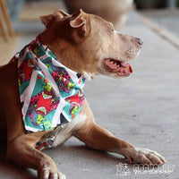Bandana para Cachorro Modorro M "Love Queen"