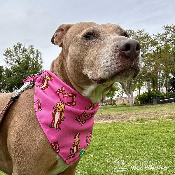 Bandana para Cachorro Modorro G 