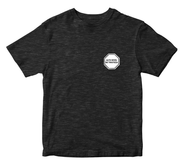 Playera 