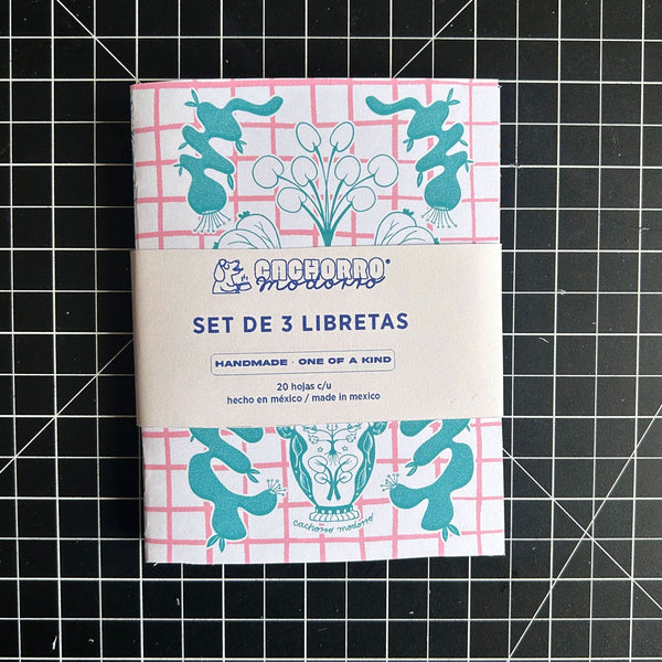 Set de 3 libretas colección 