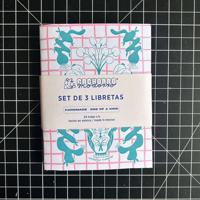 Set de 3 libretas colección "Jarrones"