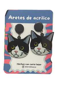 Arete gato