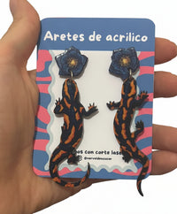 Aretes geecko