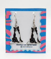 Aretes Border Collie