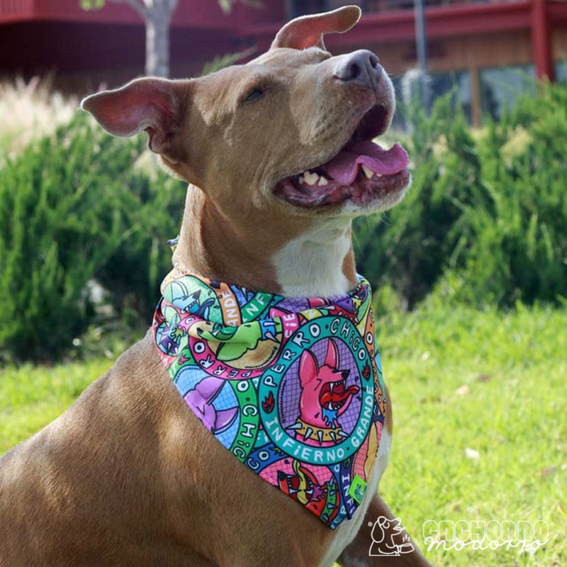 Bandana para Cachorro Modorro CH "Perro chico infierno grande"