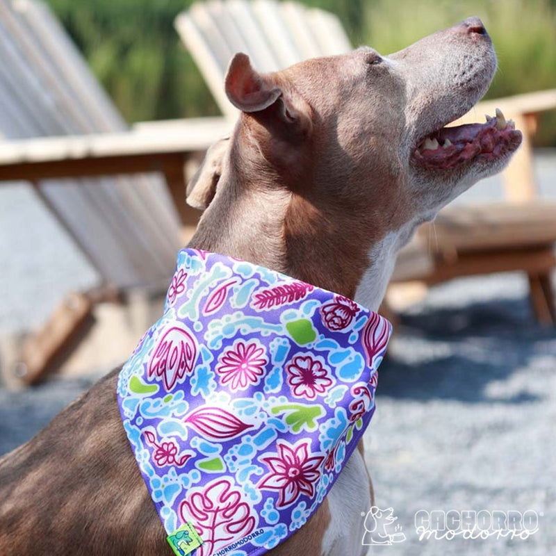 Bandana para Cachorro Modorro CH "Floral morada"
