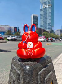 Conejo Rayo