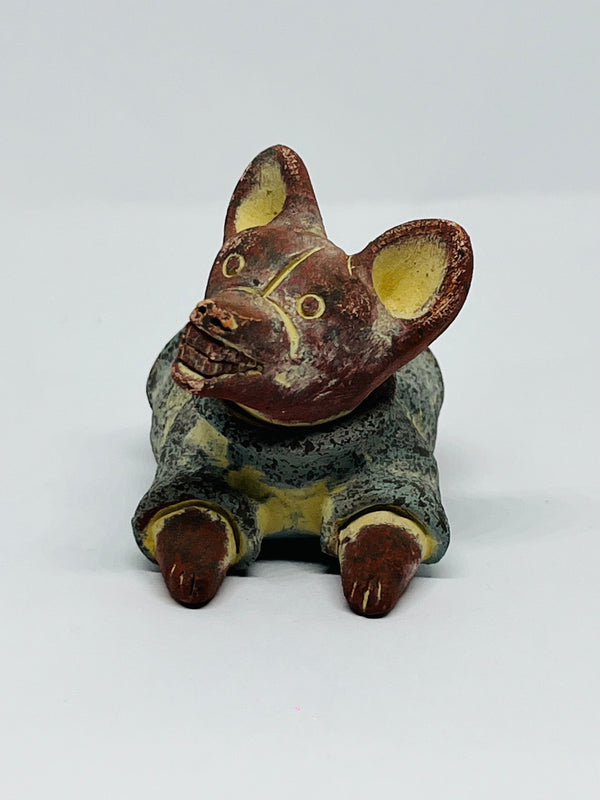 Xolo mini estirado con sueter azul