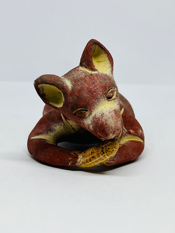 Xolo mini estirado mordiendo mazorca