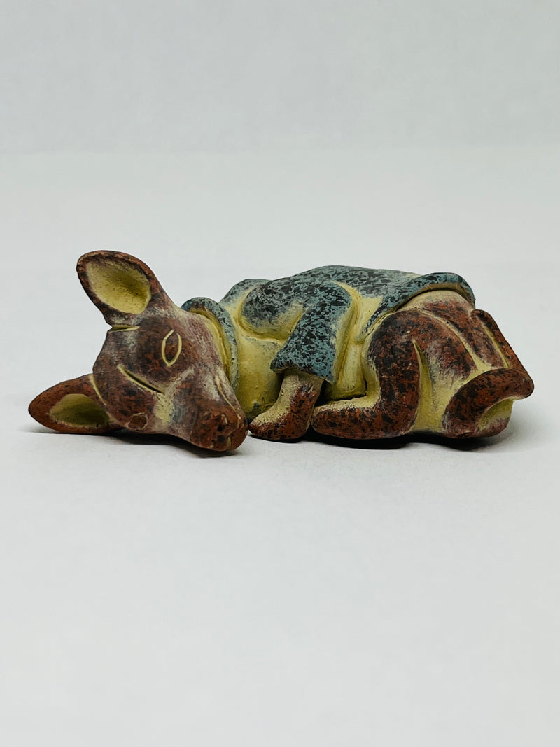 Xolo mini recostado con sueter