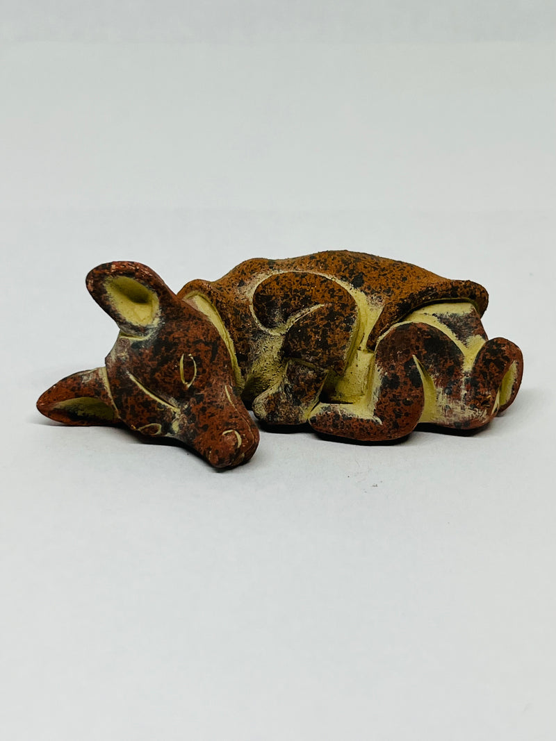 Xolo mini recostado con sueter