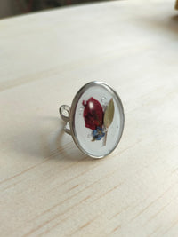 Anillo jumbo ovalado plateado