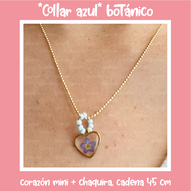 "Collar azul" botánico corazon