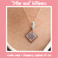 "Collar azul" botánico rombo