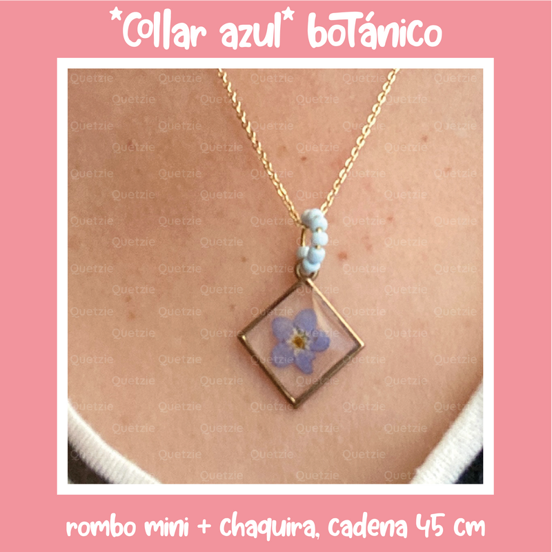 "Collar azul" botánico rombo
