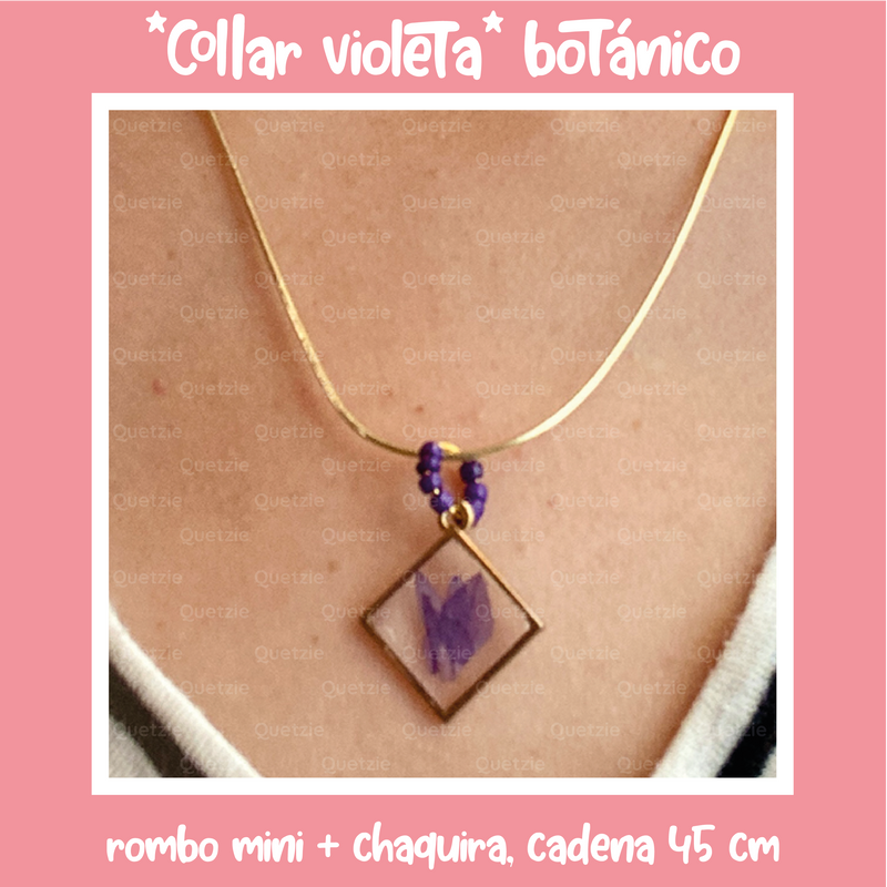 "Collar violeta" botánico rombo