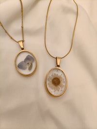 Collar óvalo