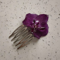 Orquidea peineta chica