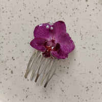 Orquidea peineta chica