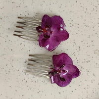 Orquidea peineta chica