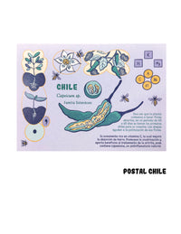 Postal "CHILE"