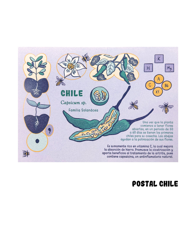 Postal "CHILE"