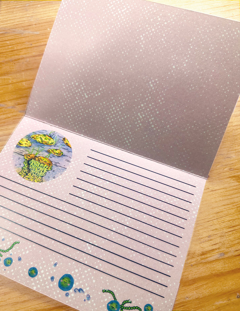Postal "ESTROMATOLITOS"