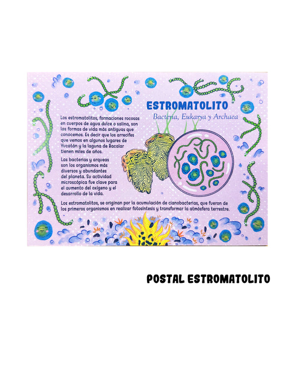 Postal 