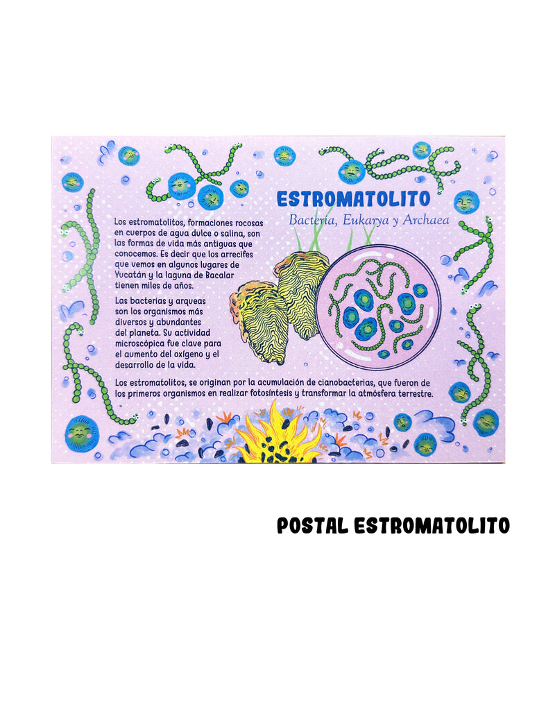 Postal "ESTROMATOLITOS"