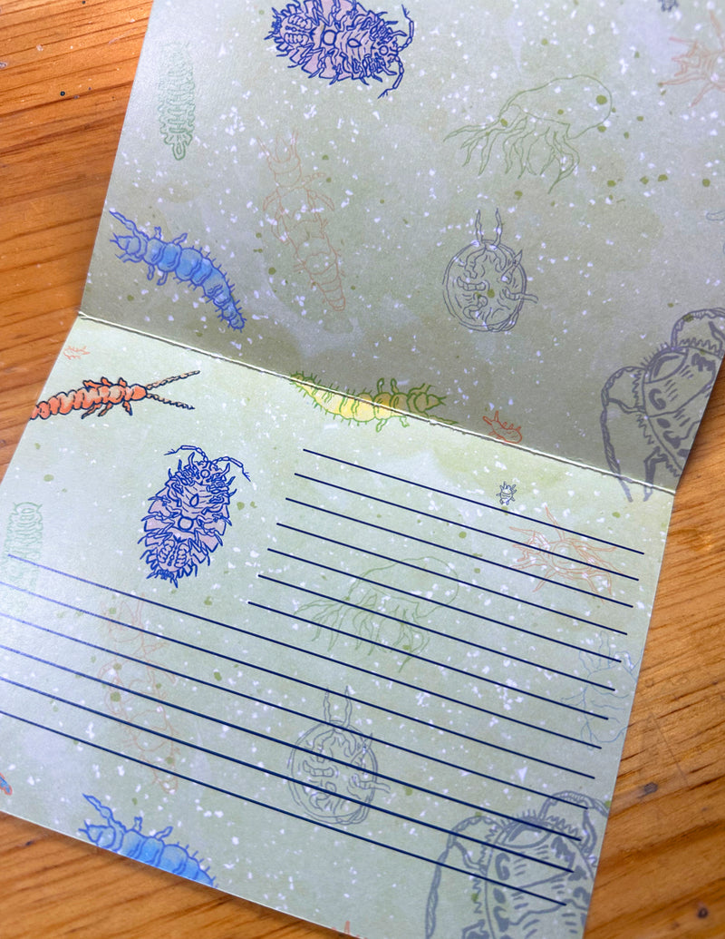 Postal "MESOFAUNA"