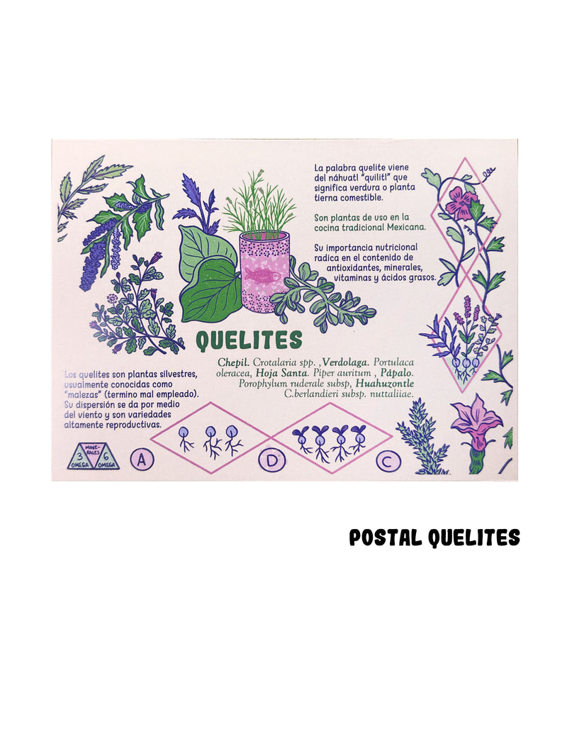 Postal "QUELITES"