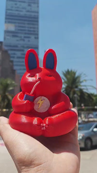 Conejo Rayo