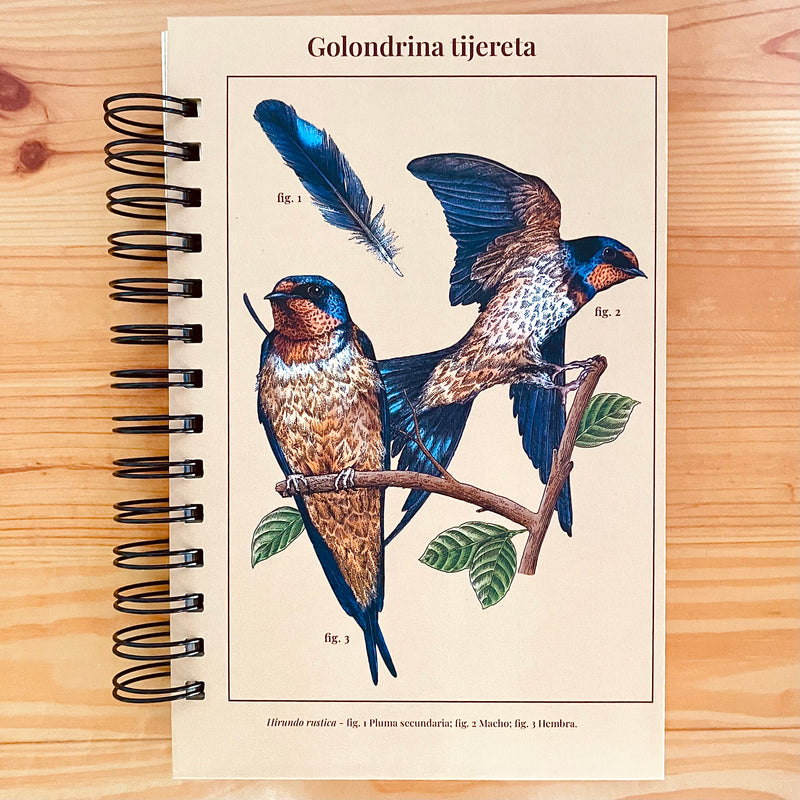 Libreta media carta "Golondrina tijereta"